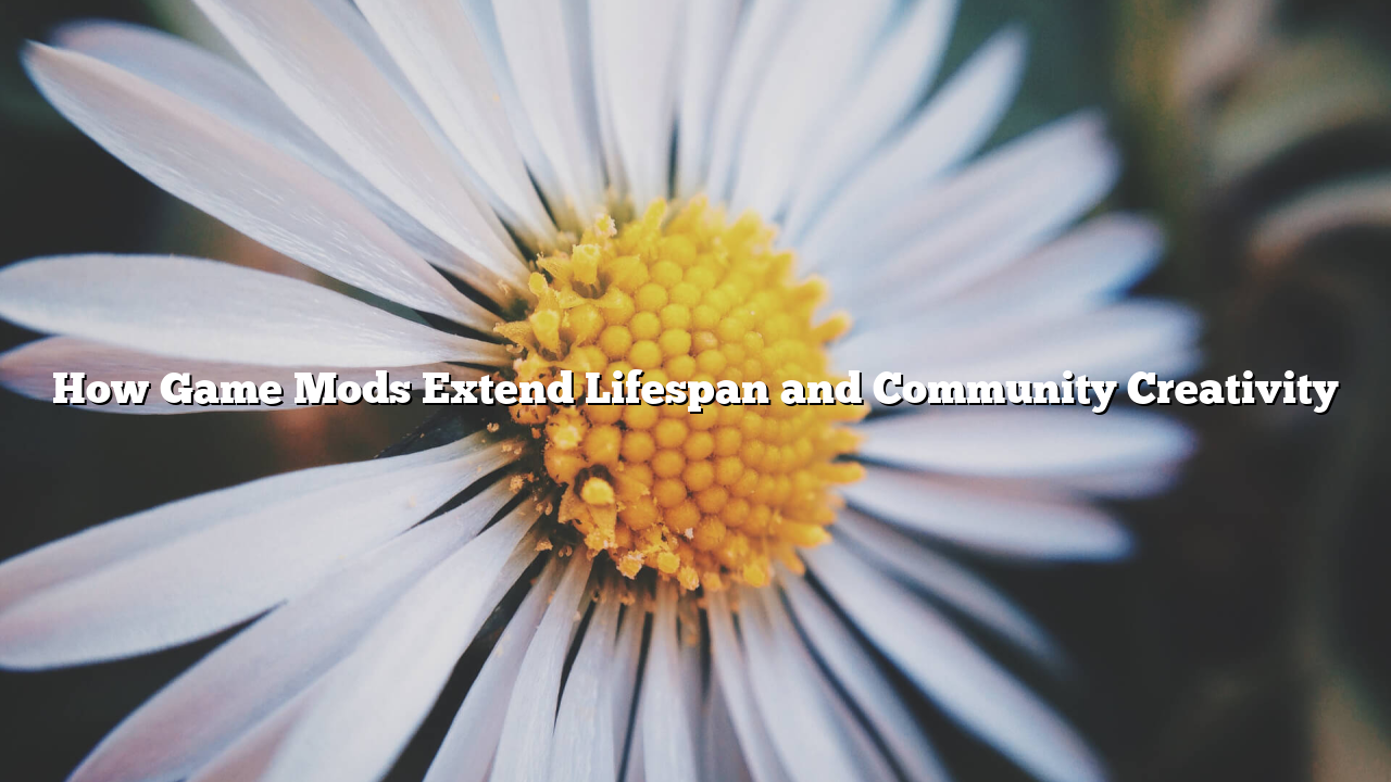How Game Mods Extend Lifespan and Community Creativity