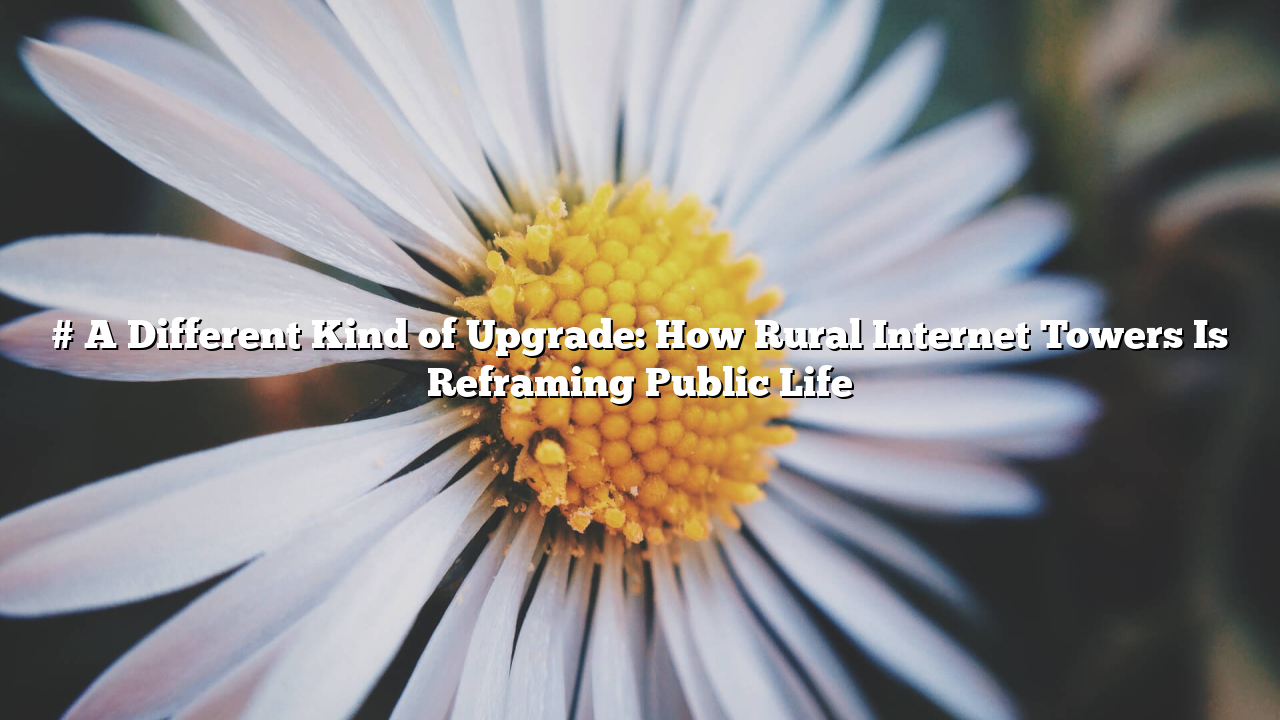# A Different Kind of Upgrade: How Rural Internet Towers Is Reframing Public Life
