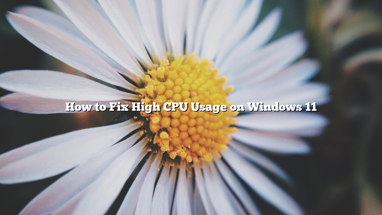 How to Fix High CPU Usage on Windows 11