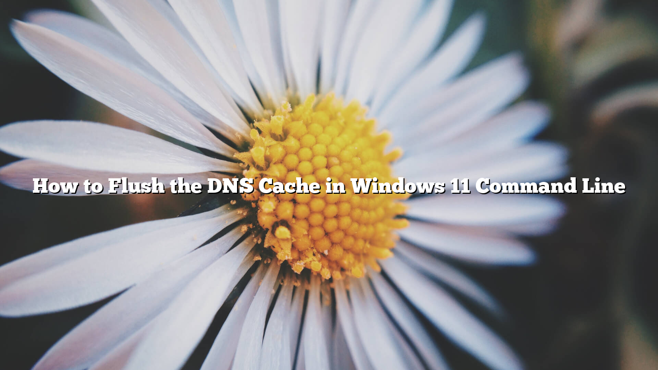 How to Flush the DNS Cache in Windows 11 Command Line
